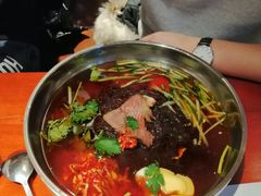 -鑫日千里马朝鲜族小馆(总店)