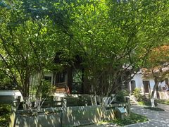 -十八棵（老龙井）御茶园(老龙井店)