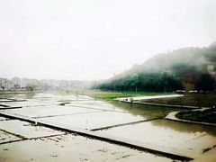 -北岐滩涂