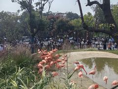 -武汉动物园