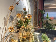 -花间别院(凤凰店)