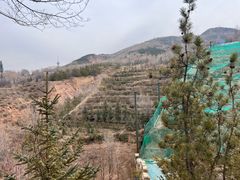 -青藏高原野生动物园