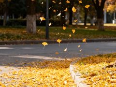 -盈丰路(地铁站)