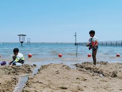 -碧海金沙