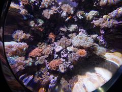 -新加坡海洋生态馆