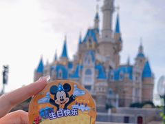 -上海迪士尼度假区