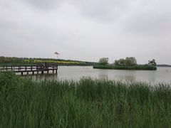 -西青郊野公园