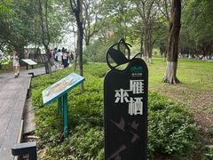 -海珠湖公园
