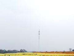 -三圣花乡旅游区