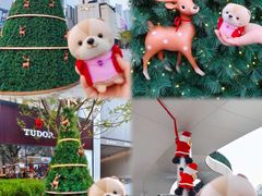 -深圳湾万象城(南山店)