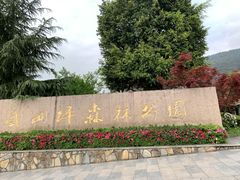 -铁山坪森林公园