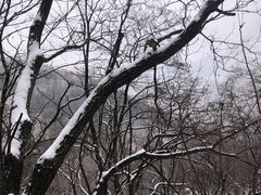 -泰山风景名胜区