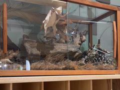 -一尺花园(安和花园店)