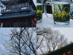 -常熟方塔园