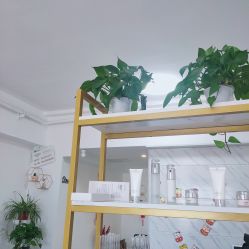 -凡碧诗毛孔收细