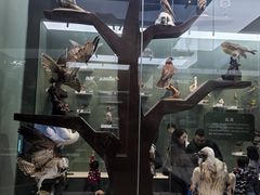 -国家自然博物馆