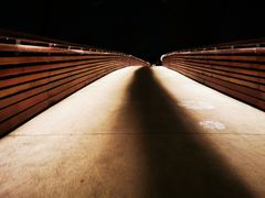 -昆山城市生态森林公园