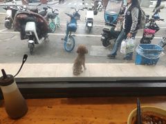 -苏记丸子汤(彭城路店)