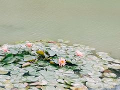 -艾溪湖湿地公园