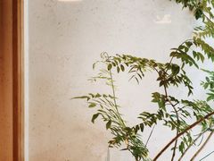 -真打拉面·日式拉面新流派(体育西横街店)