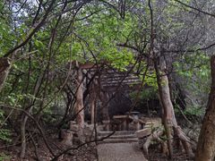 -金龙寺国家森林公园