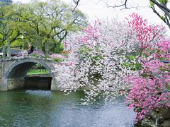 -无锡蠡湖国家湿地公园-蠡园