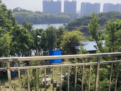 -大屏嶂森林公园