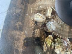 -前王院•巧克力海鲜市集餐厅(万平口店)