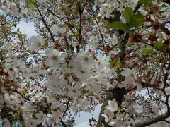 -上海植物园·停车场