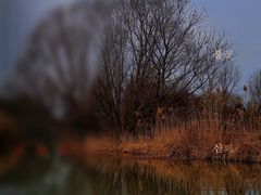 -同里国家湿地公园