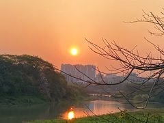 -广东花都湖国家湿地公园