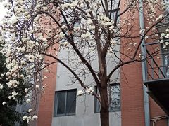 -南京晨光1865创意产业园