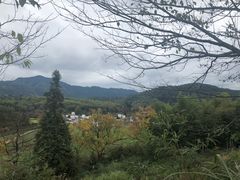 -塔川景区