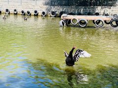 -新疆天山野生动物园