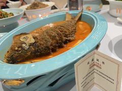 -阿五黄河大鲤鱼(海尚店)