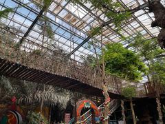 -呀路古热带植物园