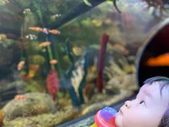 -沈阳海洋探索中心