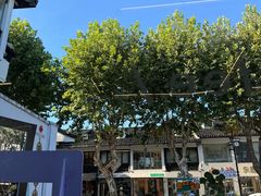 -麻雀咖啡SPARROW COFFEE(十全街店)