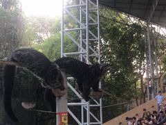 -清迈夜间动物园