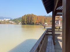 -星湖旅游景区七星岩