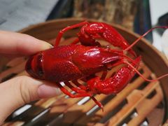 -老长沙龙虾馆·聚会餐厅(白石洲店)