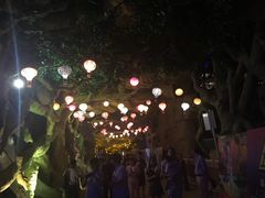 -横店影视城梦幻谷园区