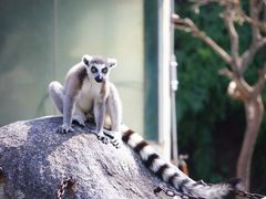 -泉州海丝野生动物世界