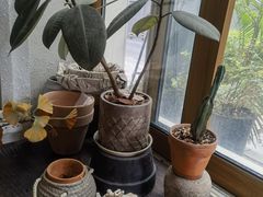 -ABCD咖啡屋(妇幼店)