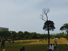 -扬州大学(扬子津校区)