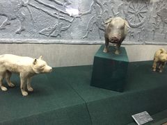 -汉景帝阳陵博物院
