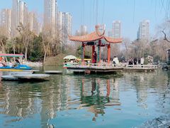 -西苑公园