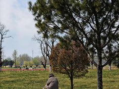 -汉长安城未央宫国家考古遗址公园