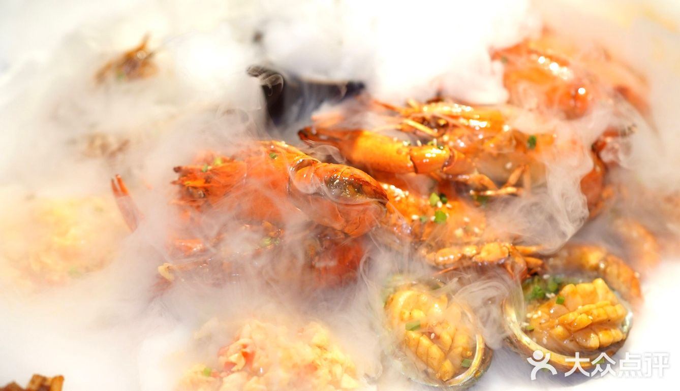 松哥第一铲回归啦😋小澳龙自由太爽了🦞