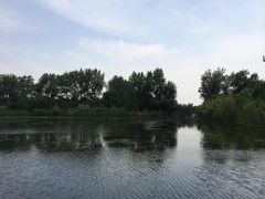 -溱湖国家湿地公园